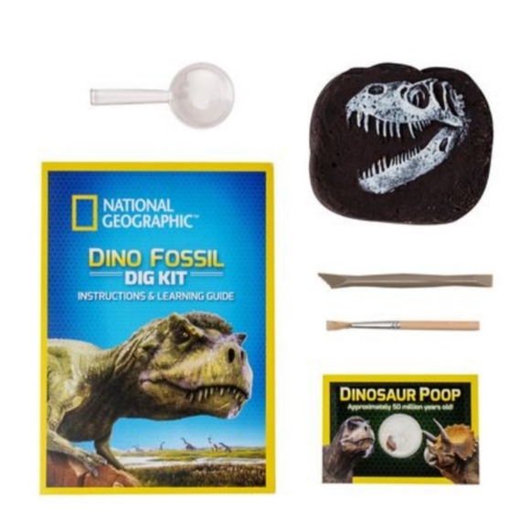 Dino Fossil Dig Kit - Picture 2 of 3
